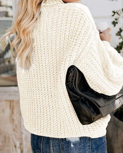 Winter Thick Turtleneck Sweater